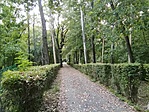 IMG_20220818_185934