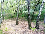 IMG_20220818_190437