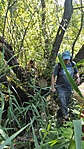 IMG_20220804_100707