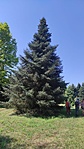 IMG_20220804_102536