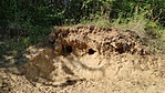 IMG_20220805_101534