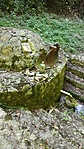 IMG_20220805_102421