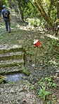 IMG_20220805_102423