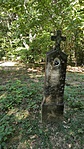 IMG_20220805_102842