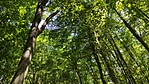 IMG_20220805_114516