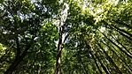 IMG_20220805_114546