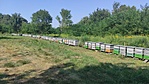 IMG_20220806_155313