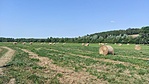 IMG_20220806_155931