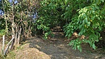 IMG_20220807_161942