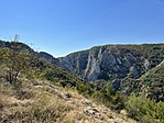 IMG_4443