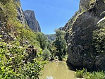 IMG_4452