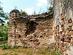 DSCN5597