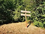 IMG_20220717_181644_resize_2