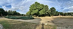 IMG_1962