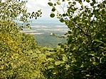 IMG_20220813_124505_386