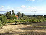 Panoráma