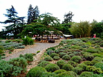Levendulás és étterem