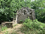 20210801_082152632_iOS