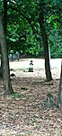 IMG_20220730_115548
