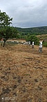 IMG_20220730_110500