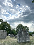 IMG_2136