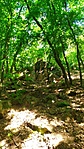 IMG_20220514_102741