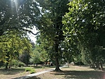 IMG_20220827_132030