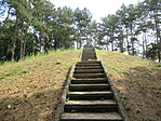 IMG_0744