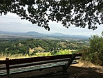 IMG_7242