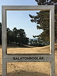 IMG_7214
