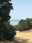 IMG_7219