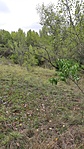 GCTBAR_20220824_113141