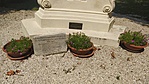 IMG_20220814_132216