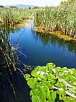 IMG_20220818_122310