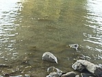 IMG_20220809_124019