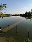 IMG_20220806_080445