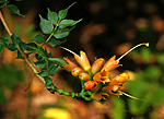 IMG_1697_1