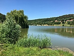 IMG_0332