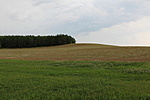 IMG_1127