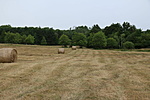IMG_1129