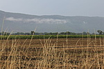 IMG_1135