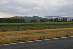 IMG_1136