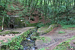 IMG_1143