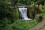 IMG_1154