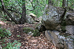 IMG_1874
