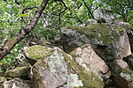 IMG_1880
