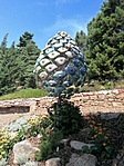 IMG_20220729_112701