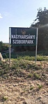 IMG-20220803-WA0030