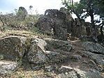 P8146787