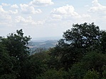 P8146788